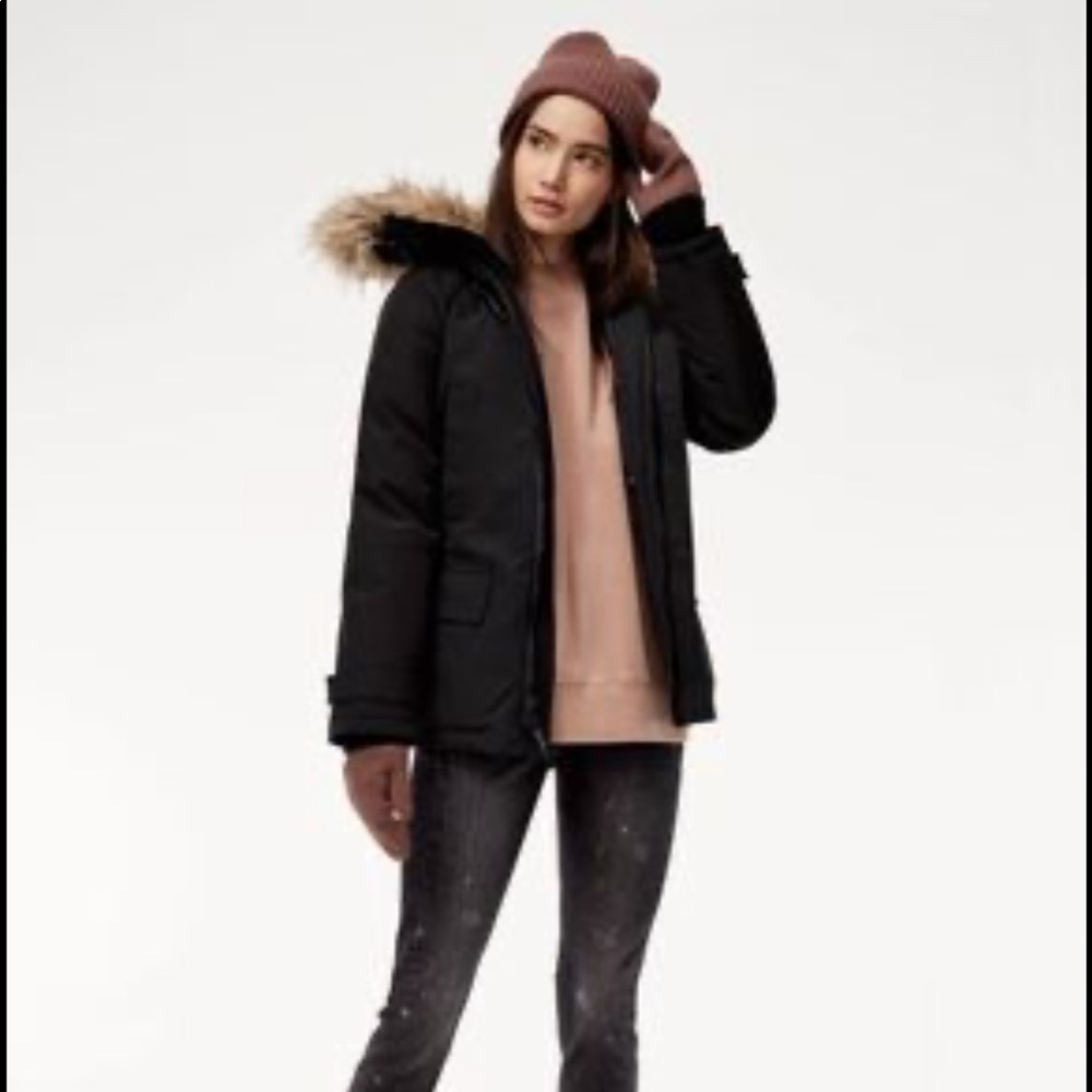 EUC Aritzia TNA Larsen Parka